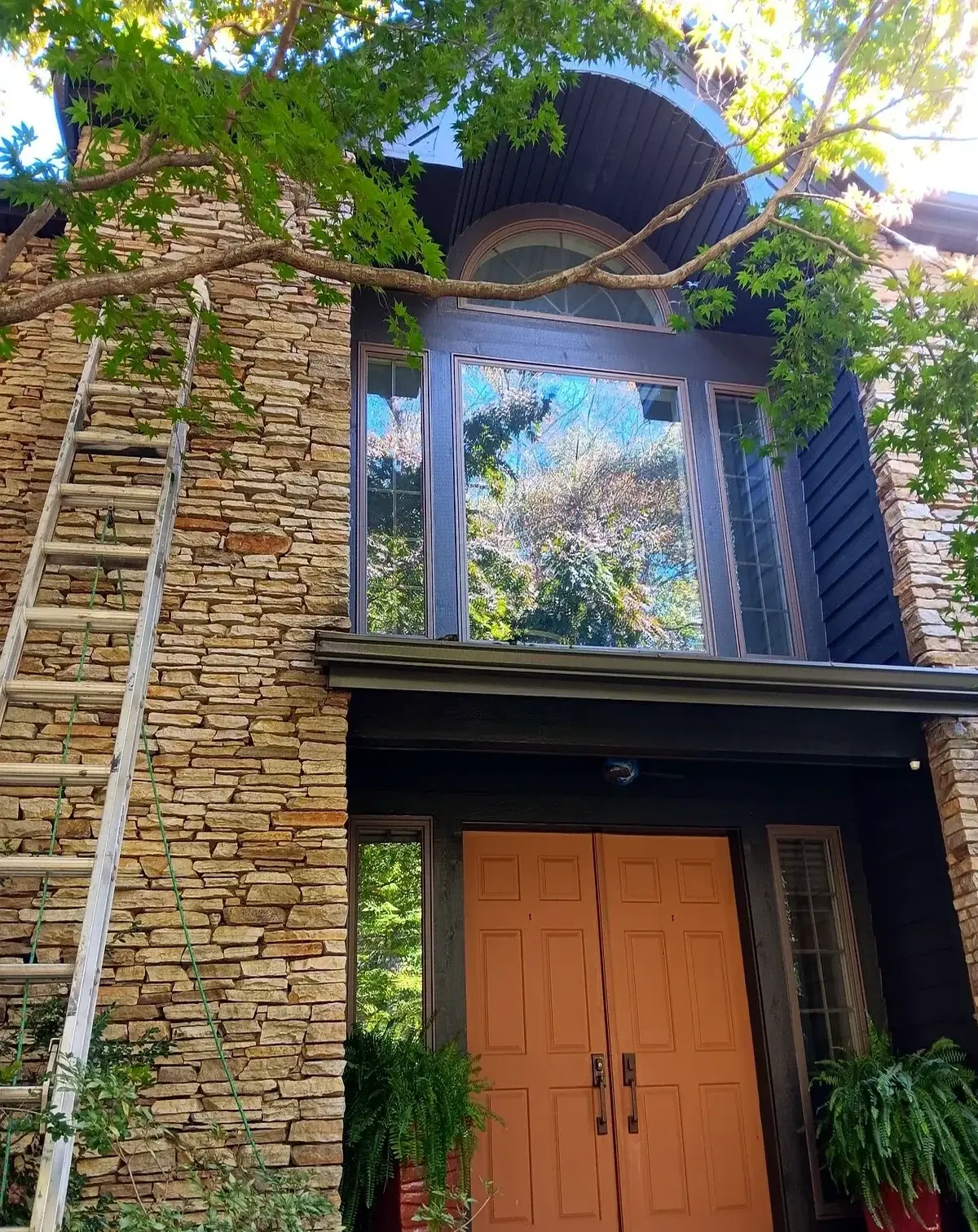 Dark exterior entry with warm wood doors and clean trim
