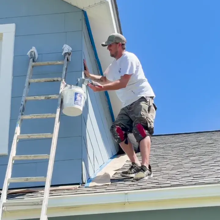 Brushing upper exterior trim